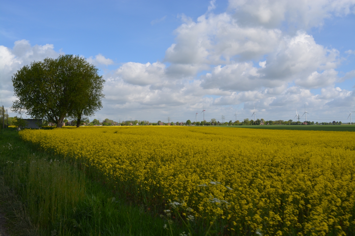 himmelfahrt2026 16