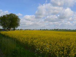 himmelfahrt2026_16